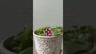 Thumbnail: TGIF  🌸 #subscribe #flowers #plantshorts #plantmom #friday #flowerbeauty #houseplants