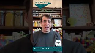 Thumbnail: Be Whale Aware • Whale Week Action Item