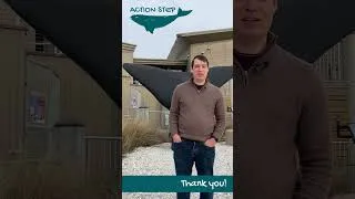 Thumbnail: Take Action: Eat Local, Not Lobster • Simple Ways to Protect North Atlantic Right Whales