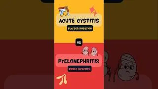 Thumbnail: UTI Showdown: Cystitis vs Pyelonephritis Explained!