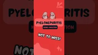 Thumbnail: Pyelonephritis (Kidney Infection) Explained in 60 seconds! #kidneyinfection #pyelonephritis #meded