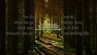 Thumbnail: Jesus loves you #soakingworshipmusic #verseoftheday #instrumentalworship