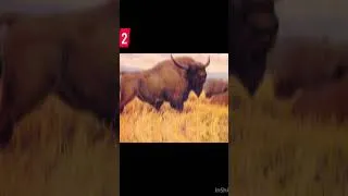 Thumbnail: Top 5 Creatures in The New Ark Creature Vote!