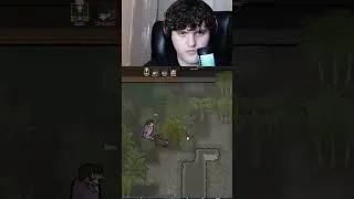 Thumbnail: Monkey?