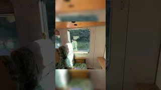 Thumbnail: Yufuin no Mori — Japan’s Scenic Train #travel #japantravel #visitjapan