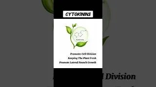 Thumbnail: CYTOKININS HORMONE #cytokinin #cytokininhormone WHAT IS CYTOKININS HORMONE IN PLANTS #shorts#viral