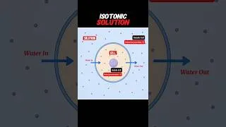 Thumbnail: ISOTONIC SOLUTION #isotonic#IsotonicSolution WHAT IS ISOTONIC SOLUTION #shorts#viral#trending