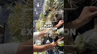 Thumbnail: Taiwan 🇹🇼 Exotic Plant Show | Asia Plant Exposition 2026