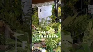 Thumbnail: Creative Plant Market in Jakarta City Zoo!