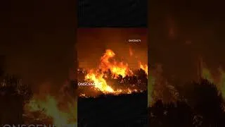 Thumbnail: 70,000-Acre Bug Fire Returns To California