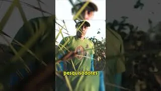 Thumbnail: Recuperação do #cerradobrasileiro é tema de projeto premiado pela #onu