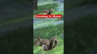Thumbnail: Being smart in Oblivion #elderscrolls #gaming #funny