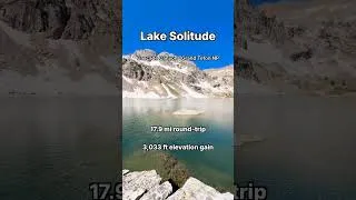Thumbnail: Moose Sighting in the Tetons 🦌