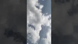 Thumbnail: #sky #rip #olivertree #timelapse #fyp