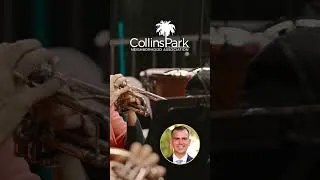 Thumbnail: Orchestra Miami's 2025 NYE Celebration Recap