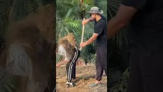 Thumbnail: Pati-Patni Ki Kheti... Ya WWE? 😂Click to watch full farming Vlog