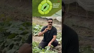 Thumbnail: Gromor Nano DAP : फसल का नया साथी