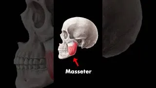 Thumbnail: Check your jaw. Seriously.