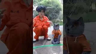 Thumbnail: Don't Worry!😇Try My Amazing Quick Fix For Leaking Pipes!👍💧 #catvideos #catmemes #trending