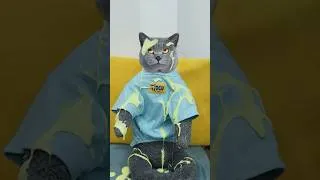 Thumbnail: Easily Clear Your Stuffy Nose with the Magic Magnet!🤧🌬️ #funnycat #catmemes #trending