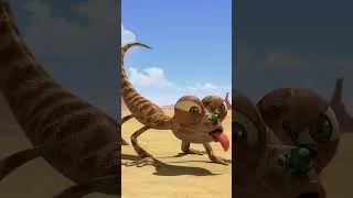 Thumbnail: Oscar Tries to Catch a Fly AGAIN! #oscaroasis