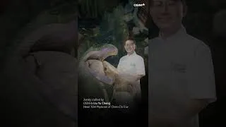 Thumbnail: OSIM uDream.AI: Chinese Tui Na Massage