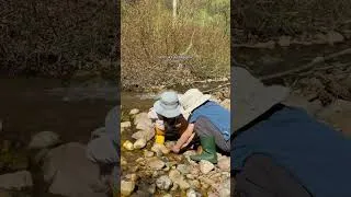 Thumbnail: 🥾🌲🏔️🏕️🌸🛶🪵 #adventurefamily #hiking #campping