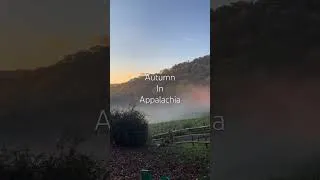 Thumbnail: Autumn in the Appalachian Mountains. Crisp air & the stillness that reminds you what matters most.