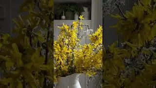 Thumbnail: Spring things here in Appalachian Mountains. New Homestead Video Coming Soon!