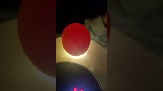 Thumbnail: How many do you think will hatch? I think my guess is 20 but maybe 24! 😄First egg candling on day 7.