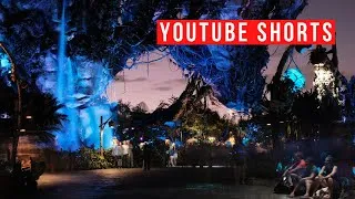 Thumbnail: Disney's Animal Kingdom Trip in 60 Seconds #shorts