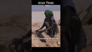 Thumbnail: Suku Afar dari Ethiopia Utara