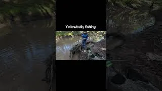 Thumbnail: Yellowbelly fishing