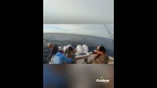 Thumbnail: Mahi Mahi Fishing is the Best