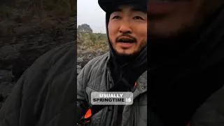 Thumbnail: Spring sea urchin usually isn’t the best quality and yield.