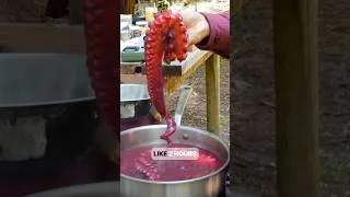 Thumbnail: Octopus is one of the best