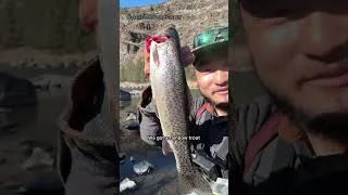 Thumbnail: Roadtrip Catch and Cook! #MarriottBonvoyPartner @marriottbonvoy