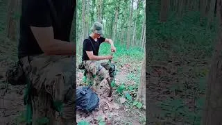 Thumbnail: jungle survival challenge #outdooractivities #outdoorgearreview #primitiveplus #camping