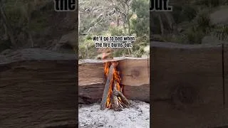 Thumbnail: One more log, and then we'll go to bed.(Repeat x100) #camping #campfire #outdoorliving #campcooking