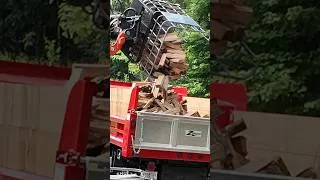 Thumbnail: Easiest Way to Dump Firewood Baskets