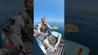Thumbnail: Bonito Tostada!