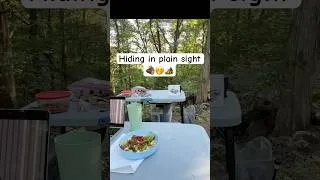 Thumbnail: Actually it was on DND🤭#outdooradventure #camping #solocamping #outdoorcooking #outdoors