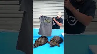 Thumbnail: Snapper tee is back in stock. Get yours today. https://tinyurl.com/h78kmsrp