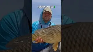 Thumbnail: My Secret Weapon: Size 2 Hooks for Giant Carp!