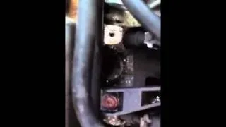 Thumbnail: Peugeot 306 after WD40-ing coil pack