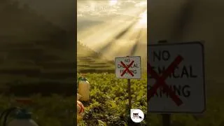 Thumbnail: No Chemicals, Still Successful? 🤯 Sikkim’s Hidden Secret