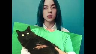 Thumbnail: Billie Eilish + OwlKitty - Bad Cat (Behind the Scenes)