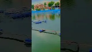 Thumbnail: Talab Jhansi Near Cinema ghar #vlog #lifeisbutadream #minivlog #shortvideo #funny #vlogaftercollege