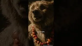 Thumbnail: Paddington In Peru | Baby Paddington