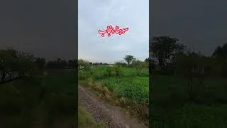 Thumbnail: Sohna Punjab Seen From Moving Train #green #nature #villagelife